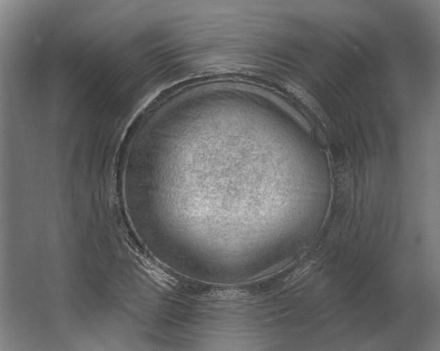 X0000062611023200601040934