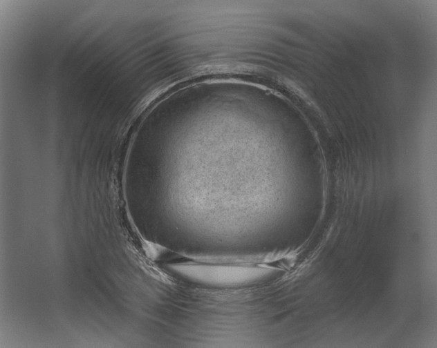 X0000062611025200601040934