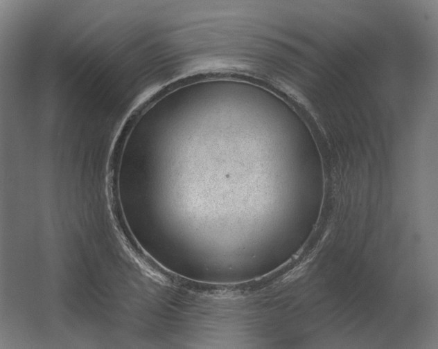 X0000062611029200601040934