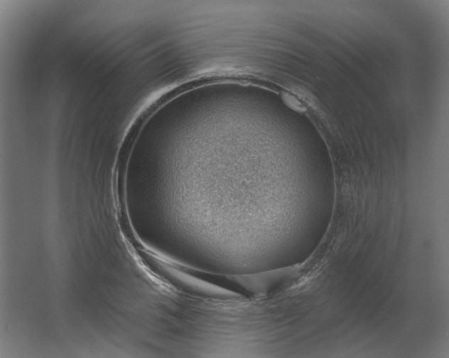 X0000062611030200601040934