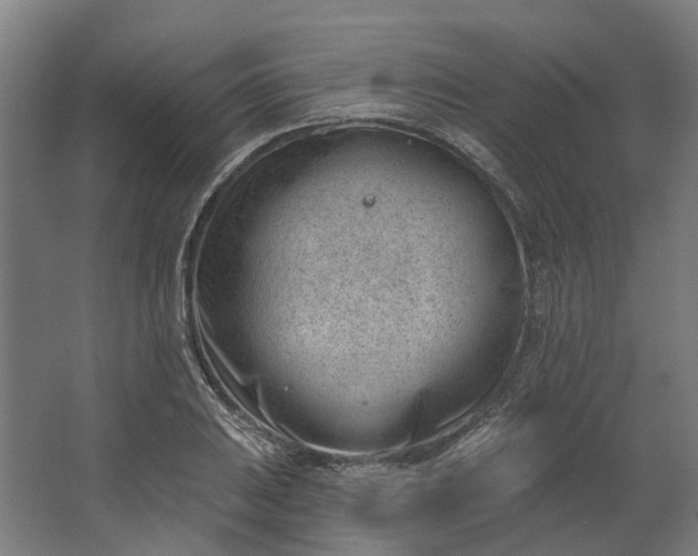 X0000062611031200601040934