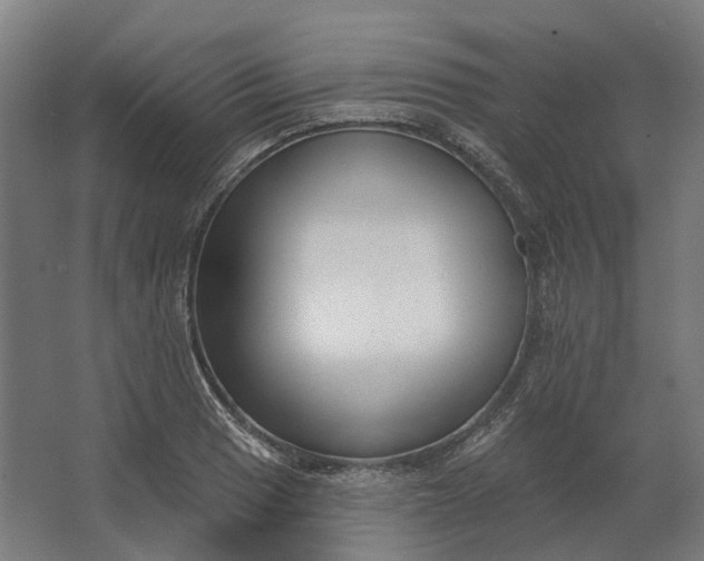 X0000062611033200601040934