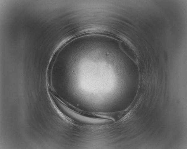 X0000062611034200601040934