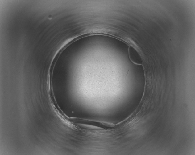 X0000062611036200601040934