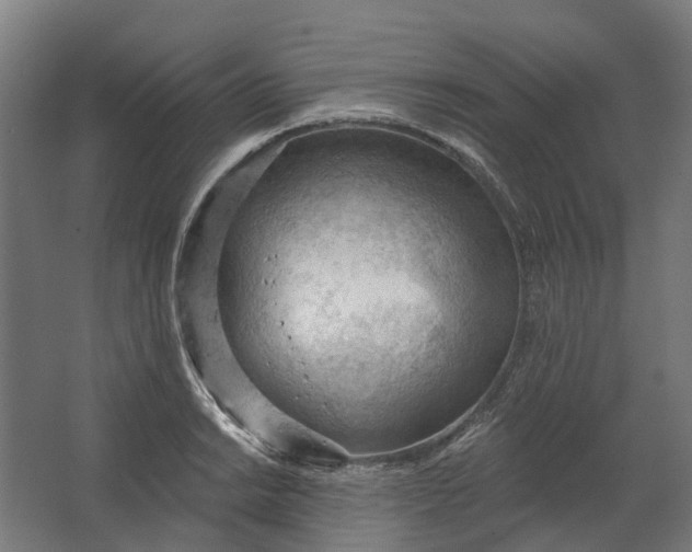 X0000062611038200601040934