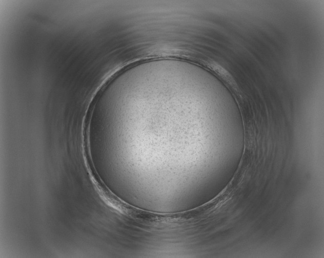 X0000062611039200601040934