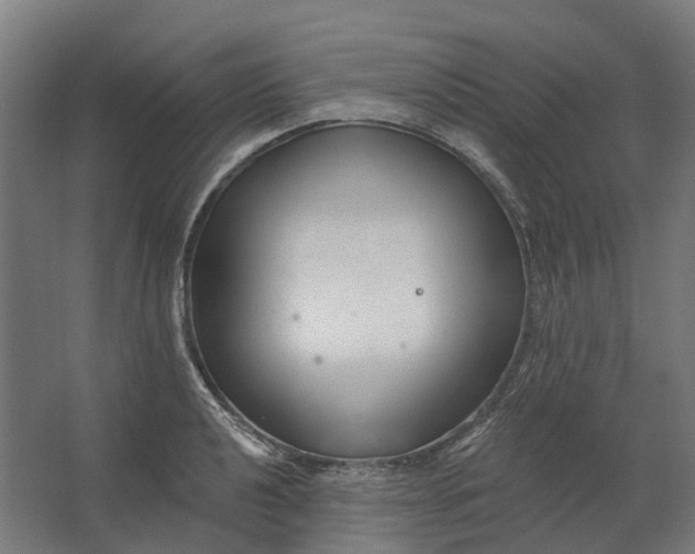 X0000062611040200601040934