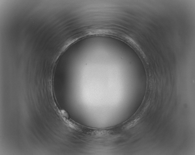 X0000062611041200601040934