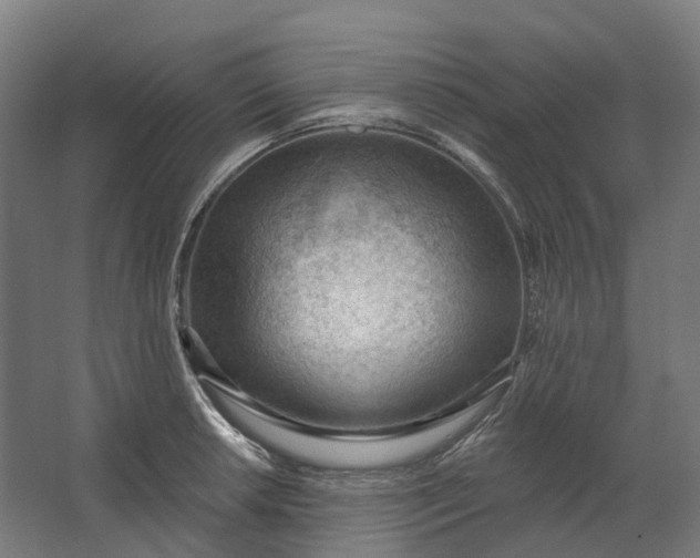 X0000062611042200601040934