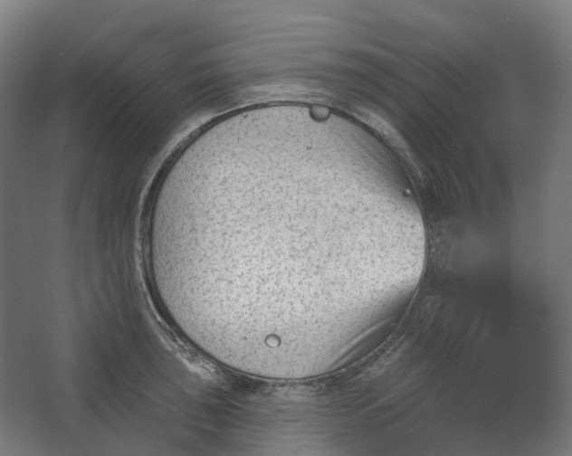 X0000062611043200601040934