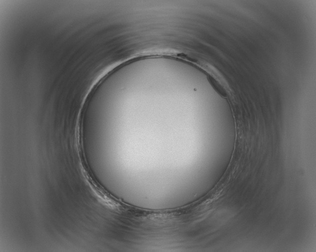 X0000062611044200601040934