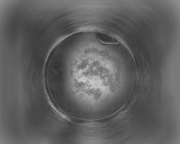 X0000062611045200601040934