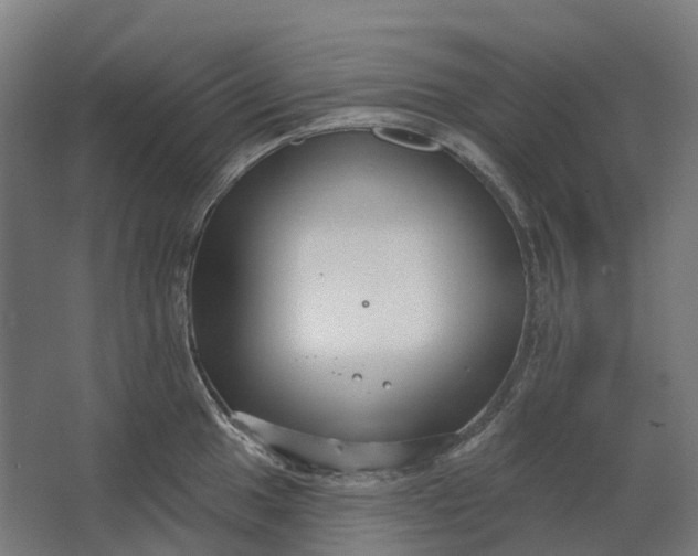 X0000062611049200601040934