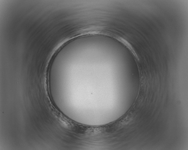 X0000062611051200601040934