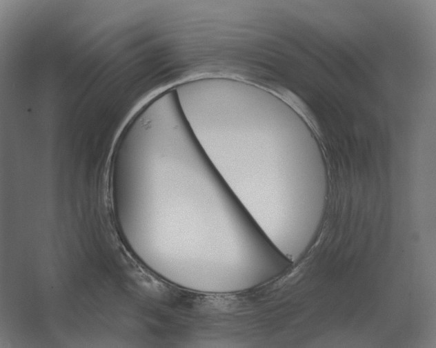 X0000062611052200601040934