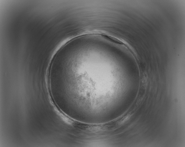 X0000062611054200601040934