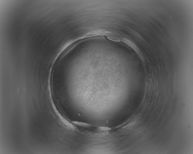 X0000062611055200601040934