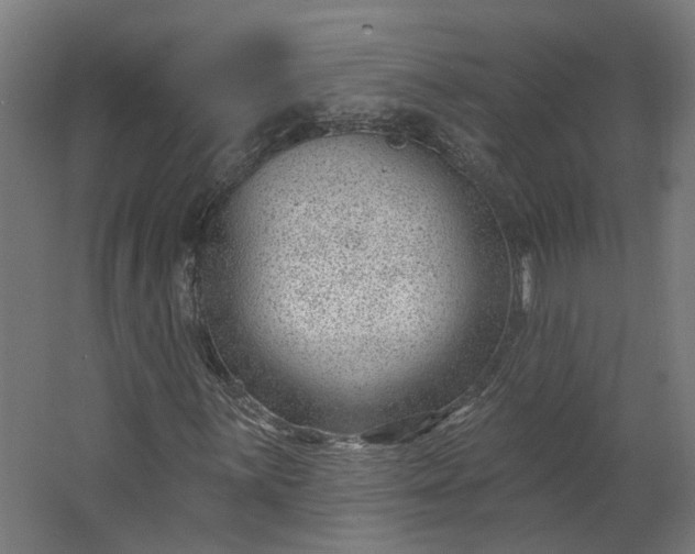 X0000062611059200601040933