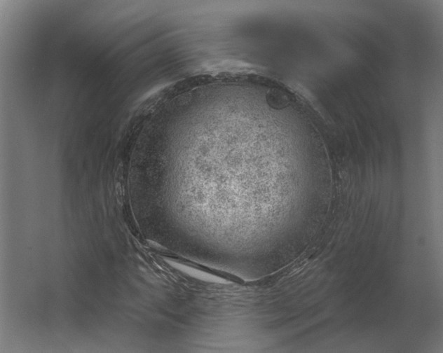 X0000062611063200601040933