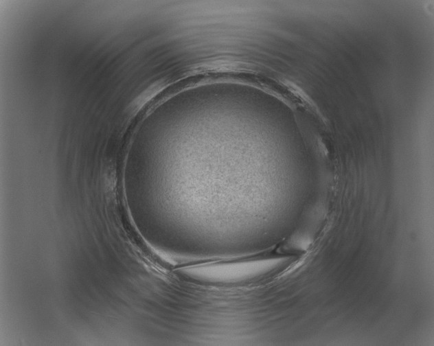 X0000062611065200601040933