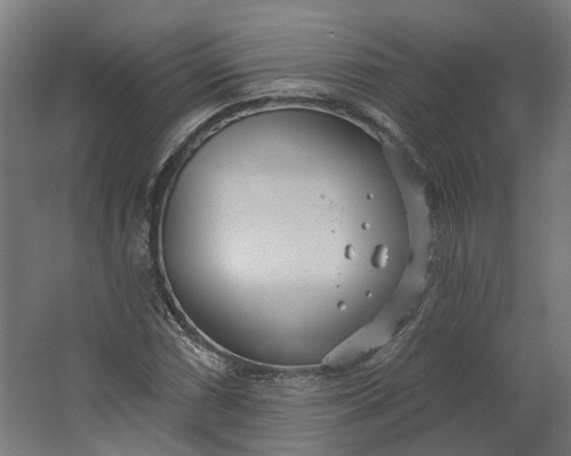 X0000062611066200601040933