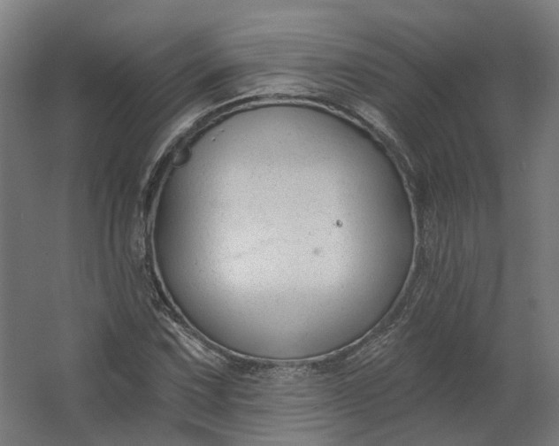 X0000062611067200601040933