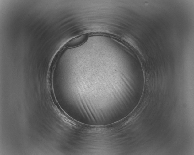 X0000062611068200601040933