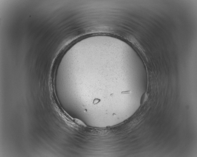 X0000062611072200601040933