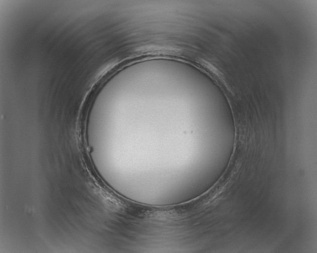 X0000062611074200601040933