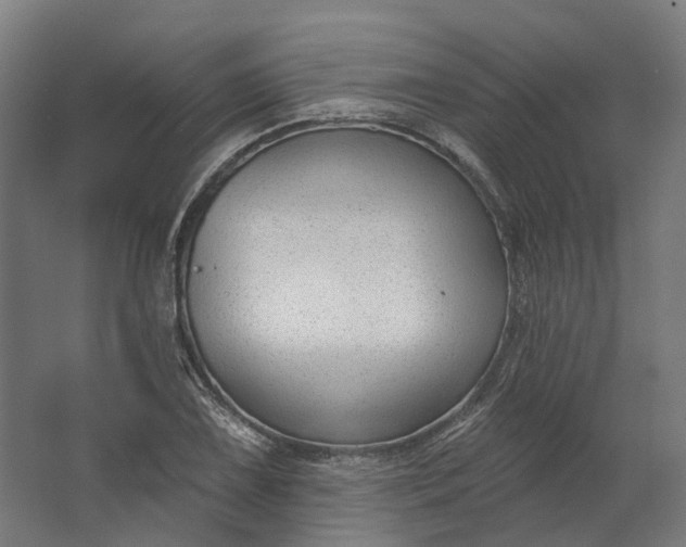 X0000062611075200601040933