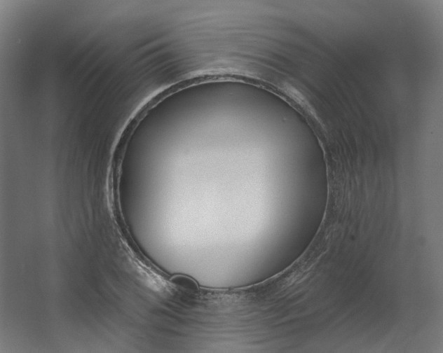 X0000062611076200601040933