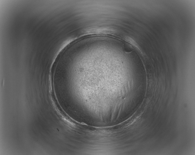 X0000062611079200601040933