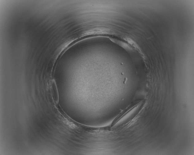 X0000062611081200601040933