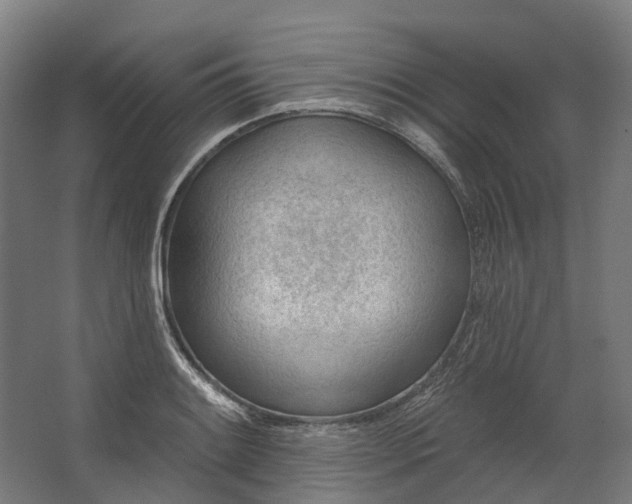 X0000062611084200601040933