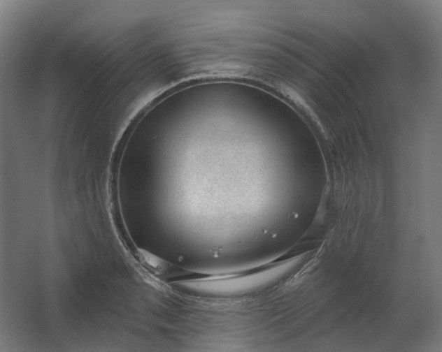 X0000062611085200601040933