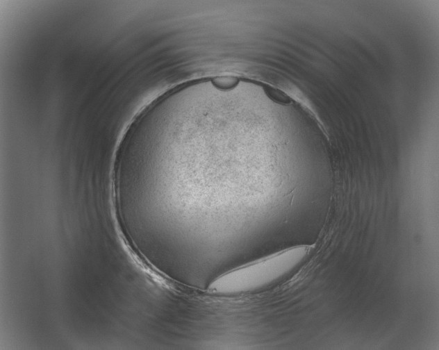 X0000062611088200601040933