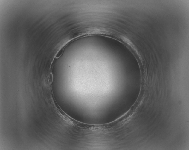 X0000062611089200601040933