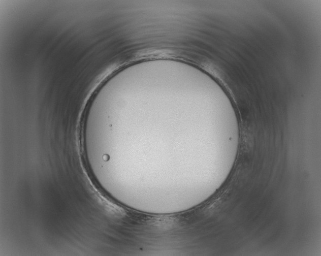 X0000062611090200601040933