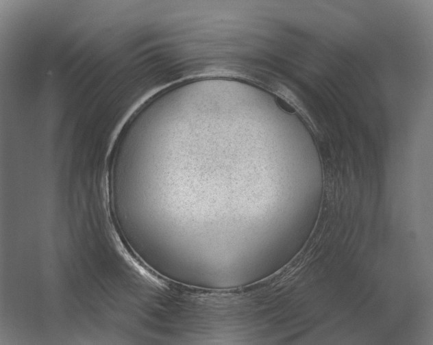 X0000062611092200601040933