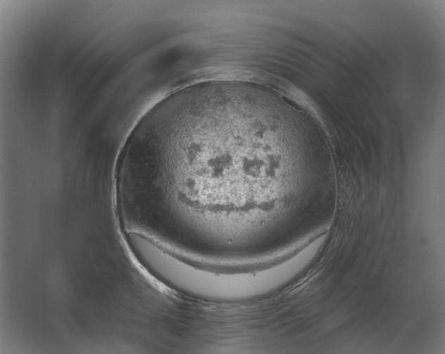 X0000062611095200601040933