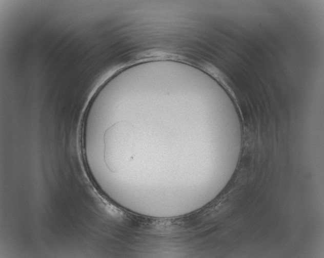 X0000062611098200601040933