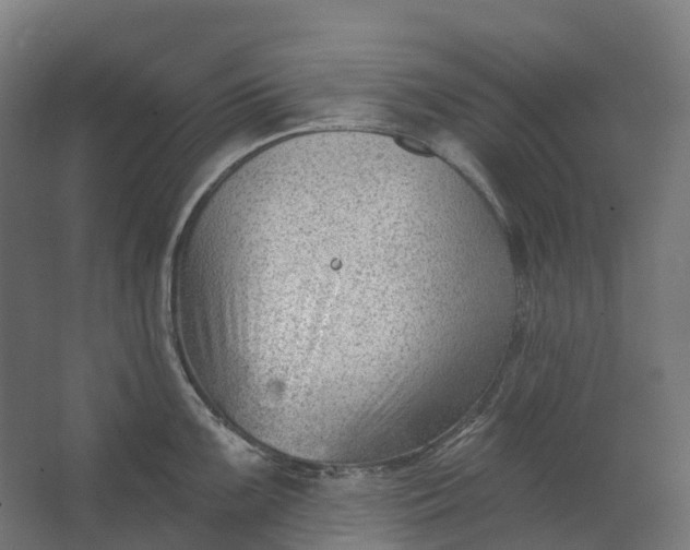 X0000062611099200601040933