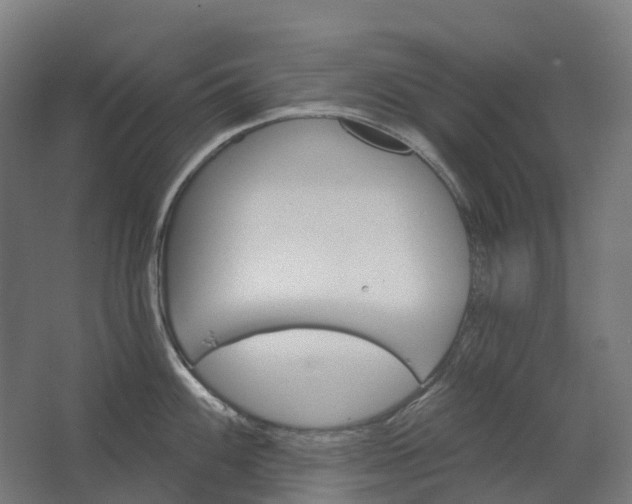 X0000062611100200601040933