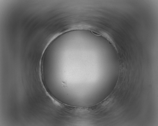 X0000062611103200601040933