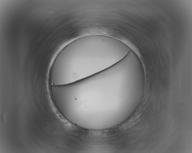 X0000062611104200601040933