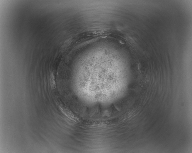 X0000062611106200601040932