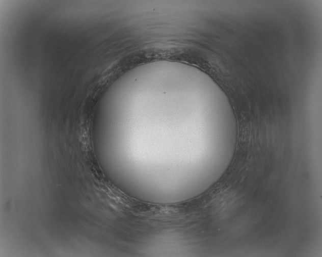 X0000062611109200601040932