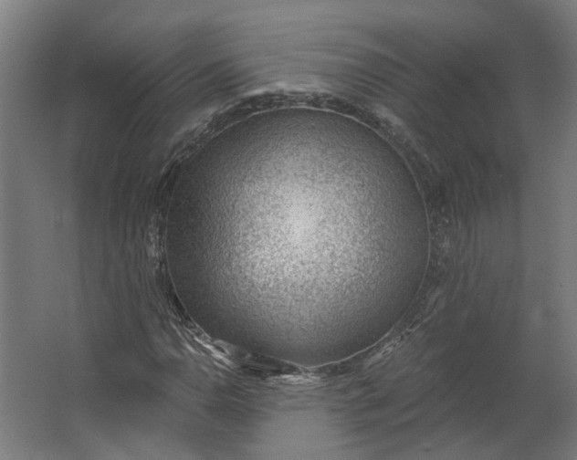 X0000062611110200601040932