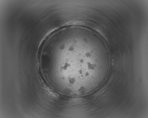 X0000062611117200601040932