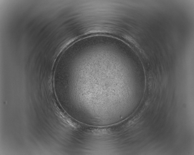 X0000062611121200601040932